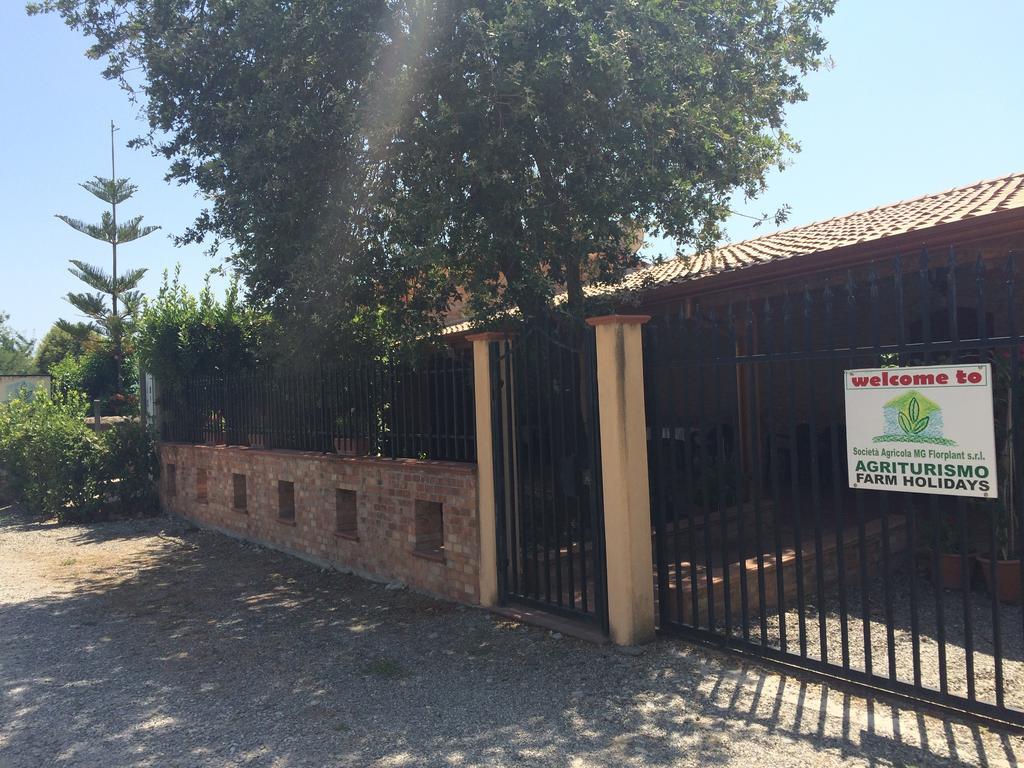 Villa Societa Agricola Mg Florplant Francavilla Marittima Exterior foto